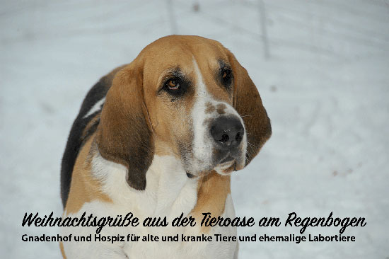 Ben Weihnachten 2020 550