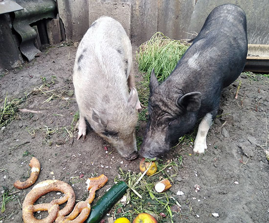 Waldemar und Arnold 2 550