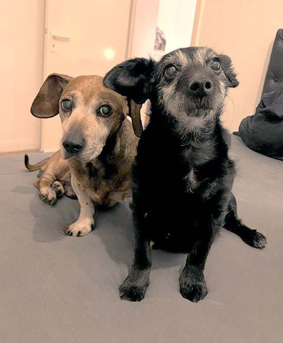 waldi und erna 2 550