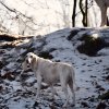 Belle am Hang