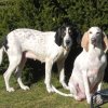 Crystal & Belle