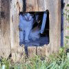 Mietzi versteck